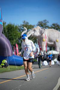 BIB: 
                            <button type="button" onclick="openModal(26542366)" class="btn btn-primary btn-sm float-right btn-popup" data-toggle="modal" data-target=".modal-high-quality">
                        <i class="fas fa-shopping-cart"></i> Add to Cart
                    </button>
                                            <button type="button" onclick="isThisMe(26542366, true)" class="btn btn-success btn-sm float-right btn-popup btn-isme hidden" data-toggle="tooltip" data-placement="bottom" title="นี่คือรูปของคุณใช่ไหม คลิกที่นี่เพื่อเอาเข้าอัลบั้ม">
                        <i class="fas fa-plus"></i> Add to album
                    </button>
                    <button type="button" onclick="isThisMe(26542366, false)" class="btn btn-warning btn-sm float-right btn-popup btn-isnotme hidden">
                        <i class="fas fa-ban"></i> Remove from album
                    </button>